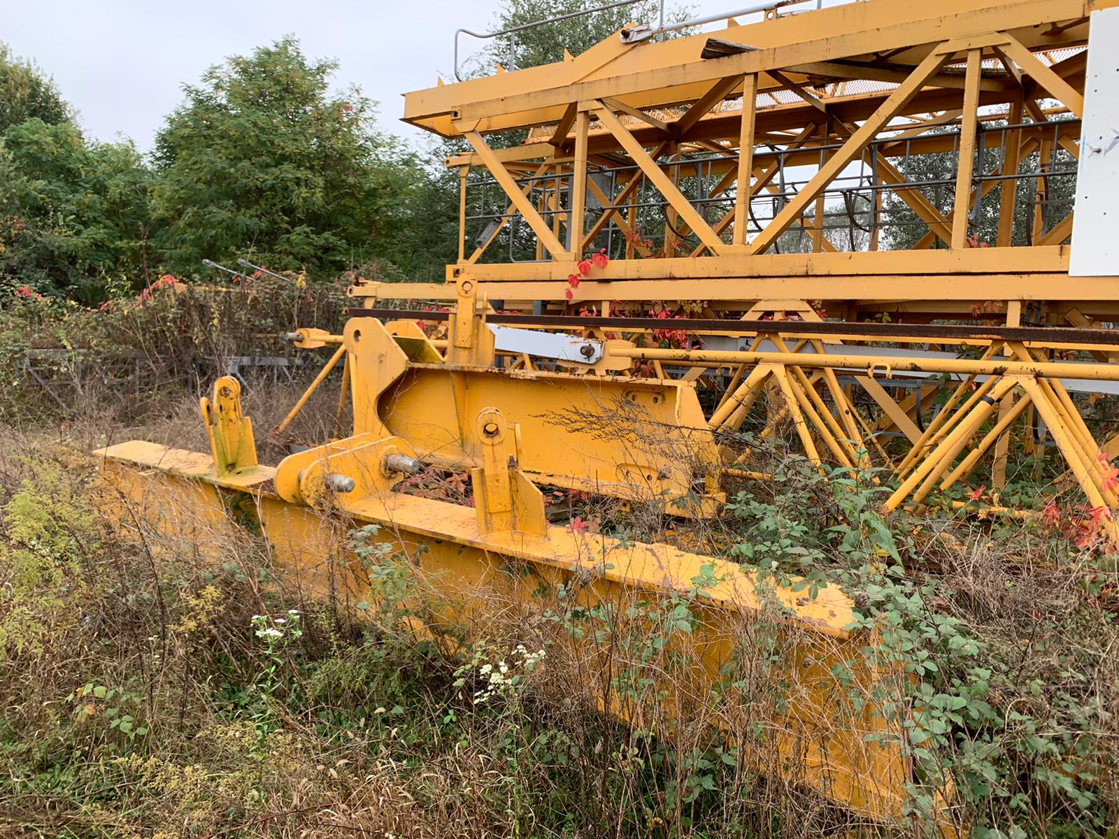 IMG-20191107-WA0000