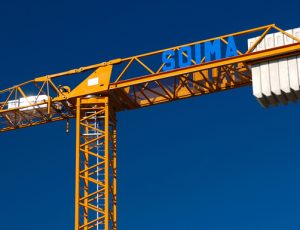 Grues Neuves