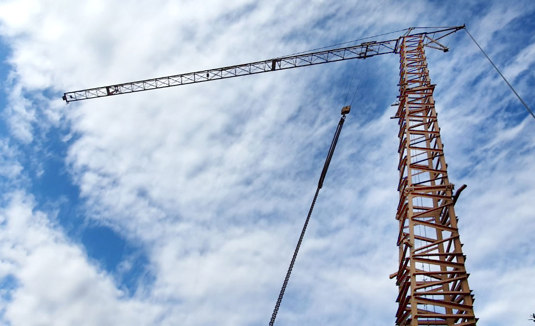 GRUE ESTEVE-003